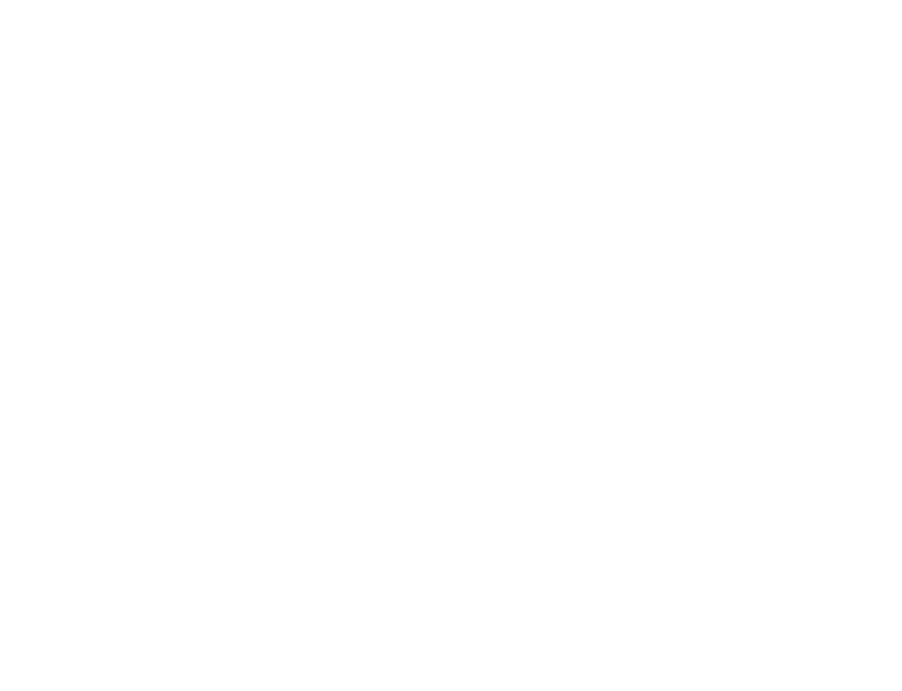 Salinas80